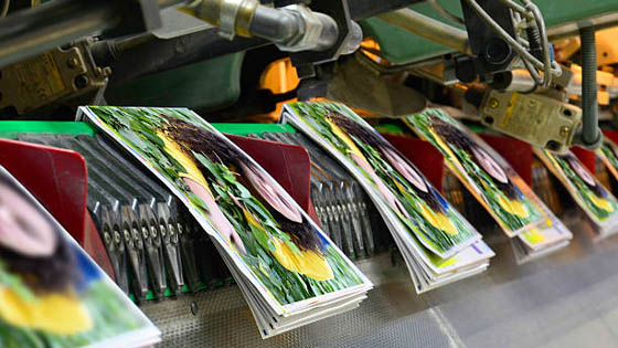 Binding Machine Company near Delhi